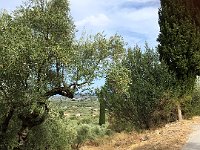 foto 186